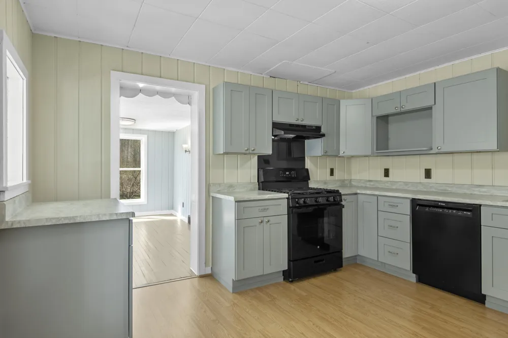 11875 Milarch Road Bear Lake, MI 49614