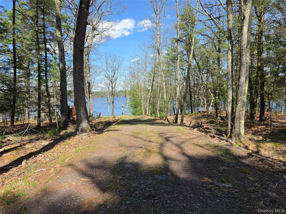 131 Highland Lake Road Highland Lake, NY 12743