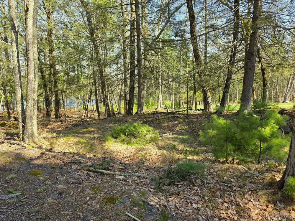 131 Highland Lake Road Highland Lake, NY 12743