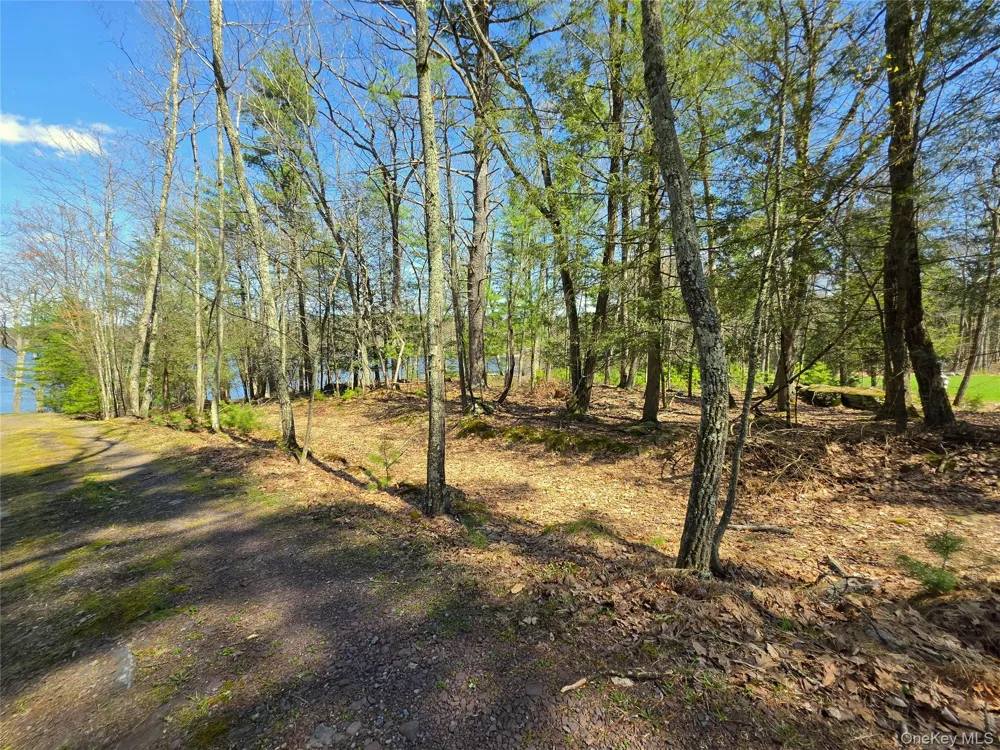 131 Highland Lake Road Highland Lake, NY 12743