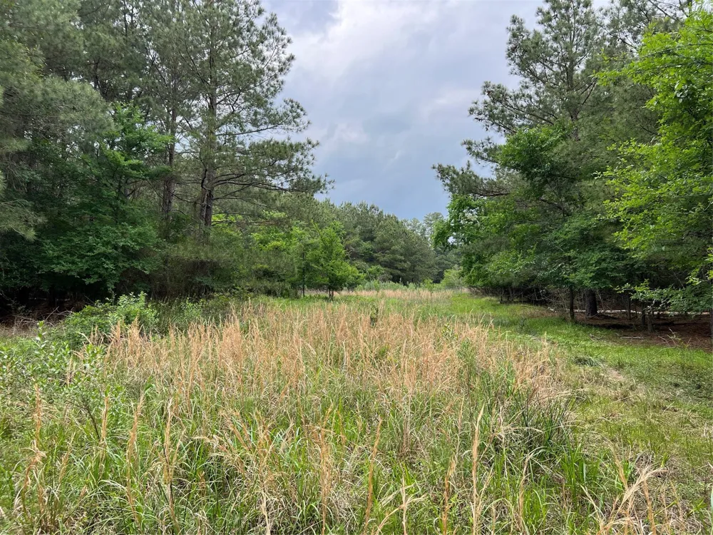 3 English Road Bedias, TX 77831