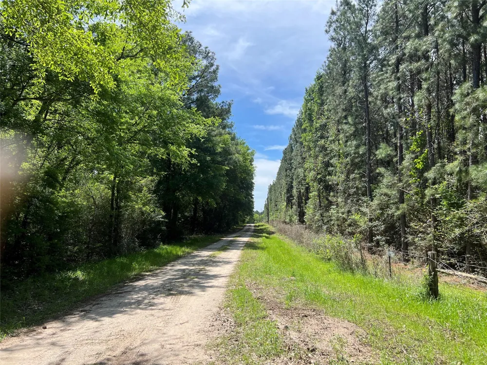 3 English Road Bedias, TX 77831