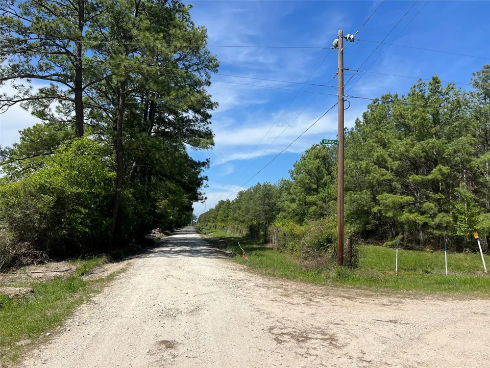 3 English Road Bedias, TX 77831