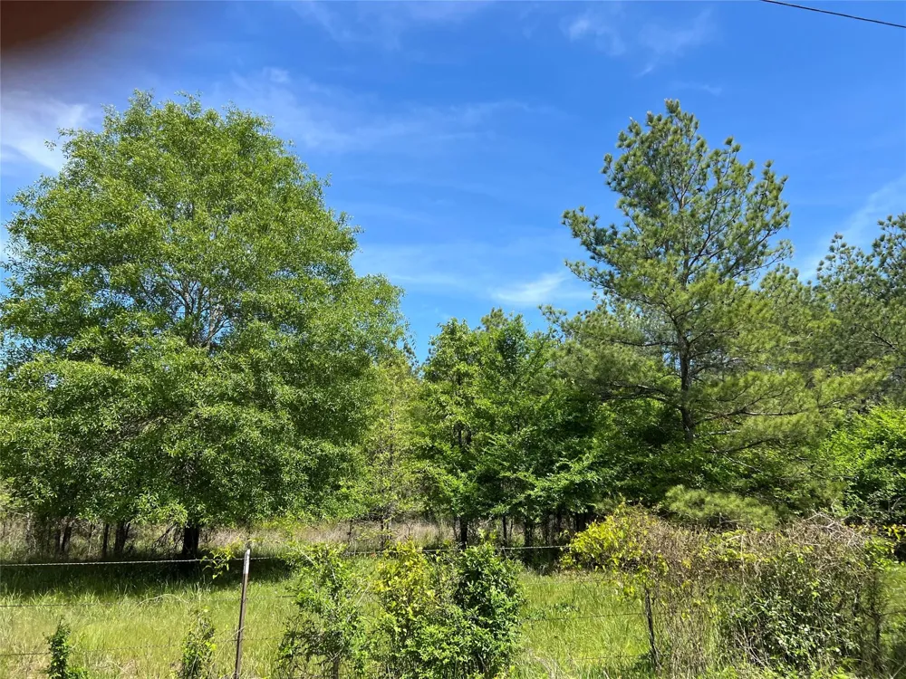 3 English Road Bedias, TX 77831