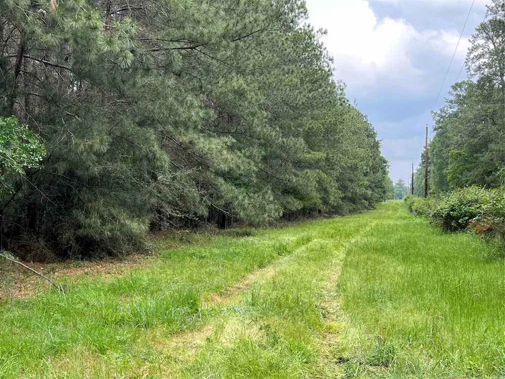 3 English Road Bedias, TX 77831