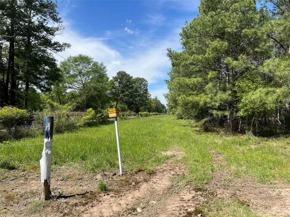 3 English Road Bedias, TX 77831