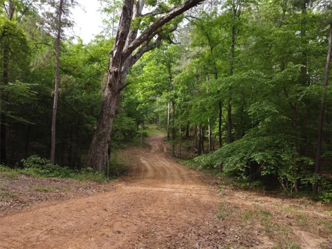 State Hwy 154