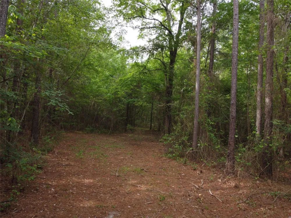 State Hwy 154 Marshall, TX 75670