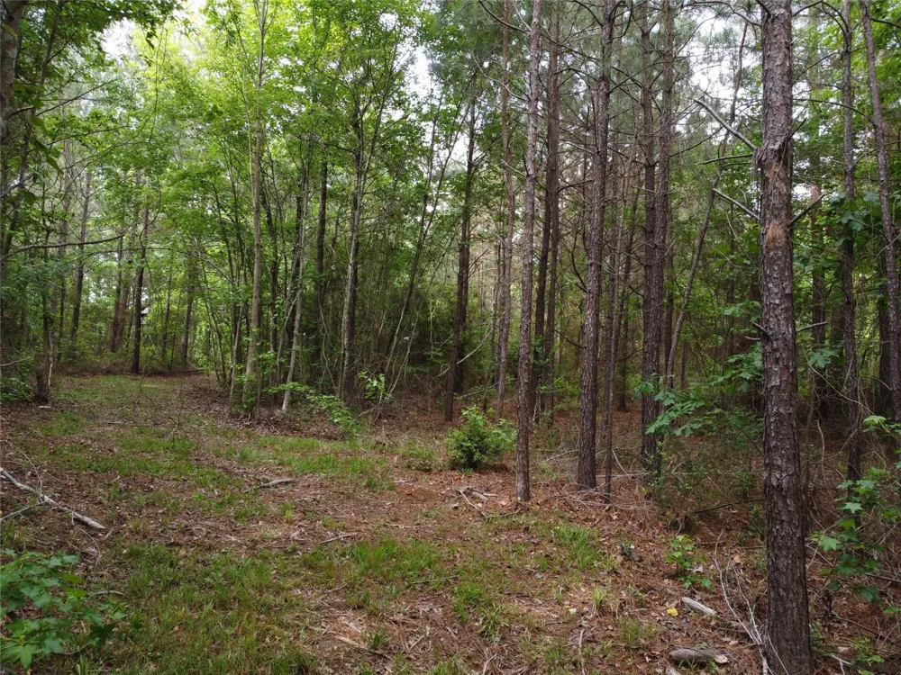State Hwy 154 Marshall, TX 75670