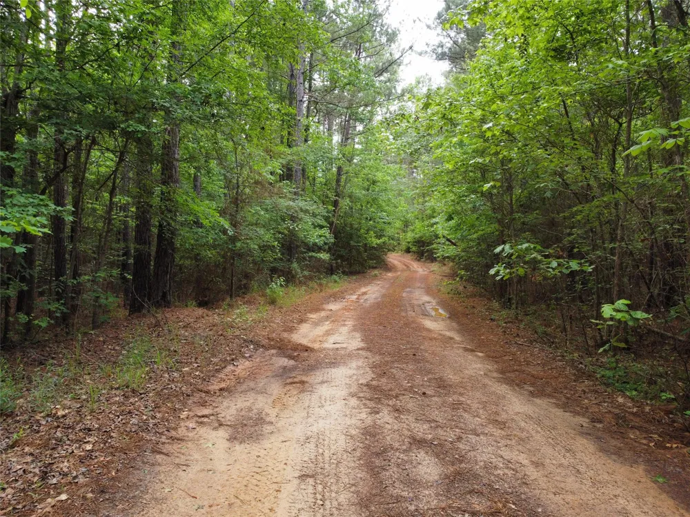 State Hwy 154 Marshall, TX 75670