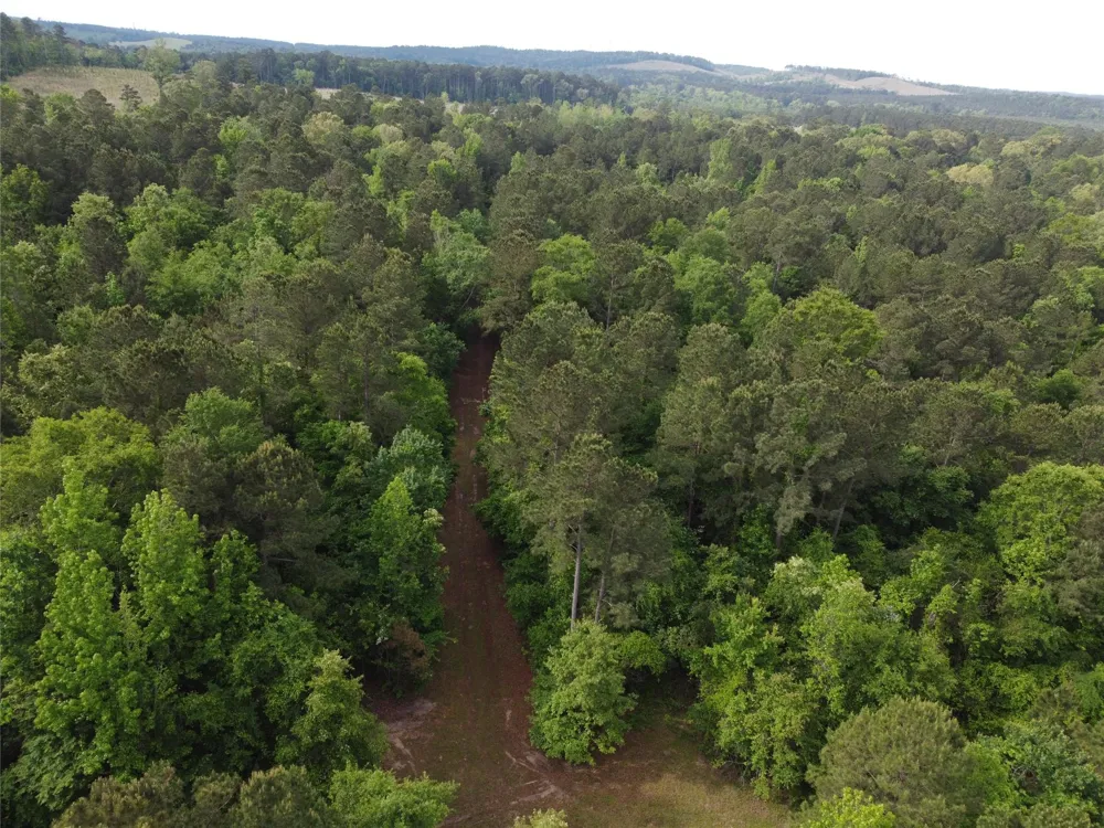 State Hwy 154 Marshall, TX 75670
