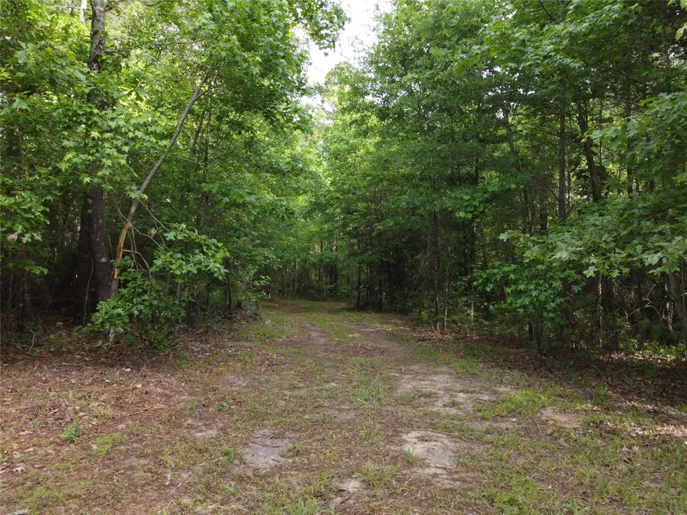 State Hwy 154 Marshall, TX 75670