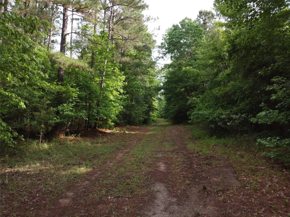 State Hwy 154 Marshall, TX 75670