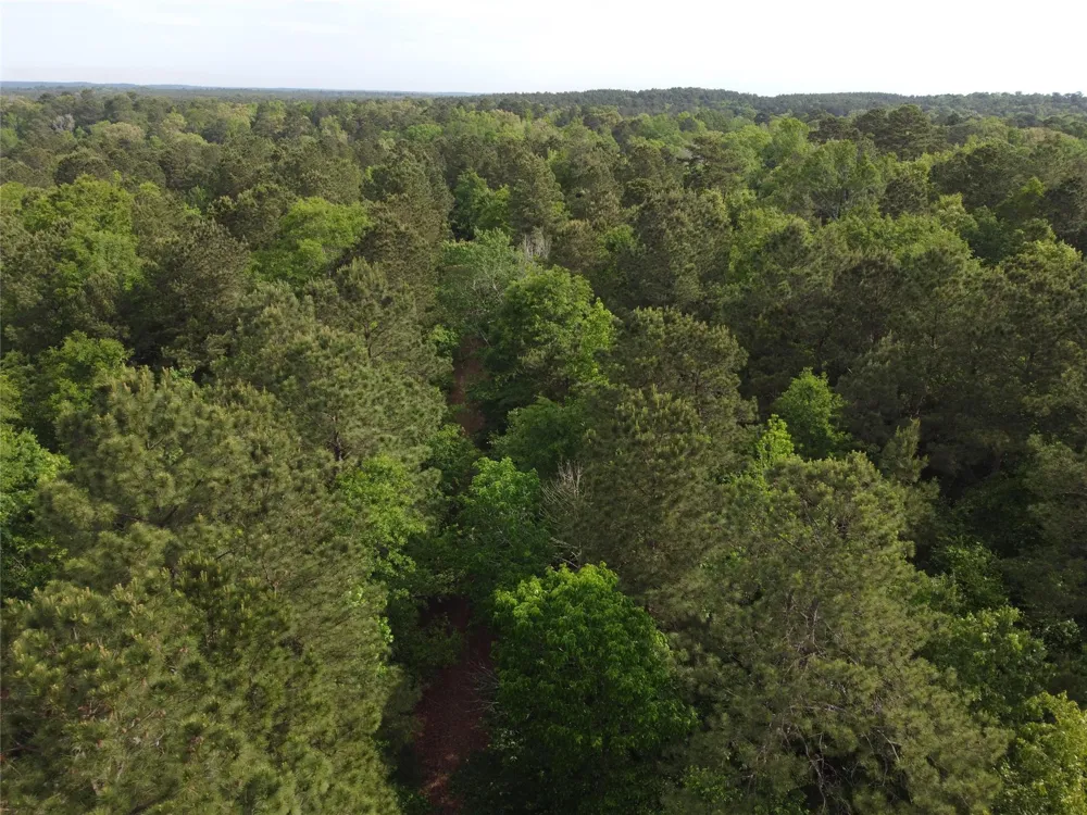 State Hwy 154 Marshall, TX 75670