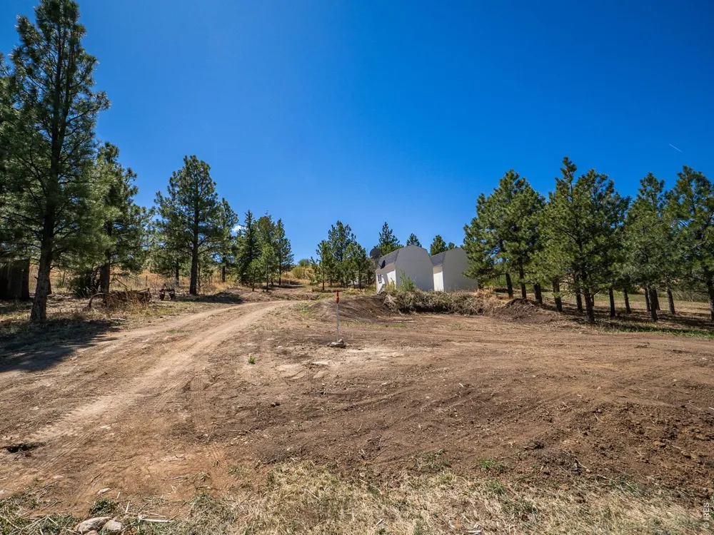 1830 Palisade Mountain Drive Drake, CO 80515