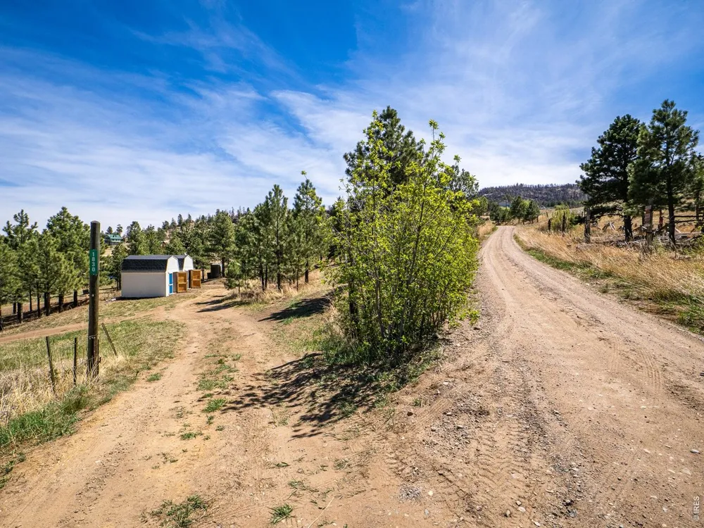 1830 Palisade Mountain Drive Drake, CO 80515