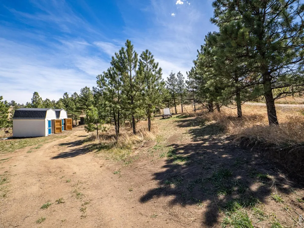1830 Palisade Mountain Drive Drake, CO 80515