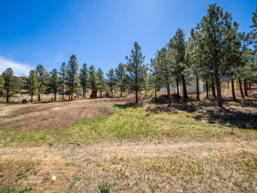 1830 Palisade Mountain Drive Drake, CO 80515