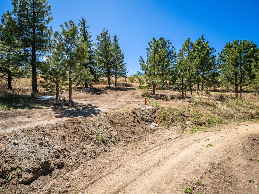 1830 Palisade Mountain Drive Drake, CO 80515