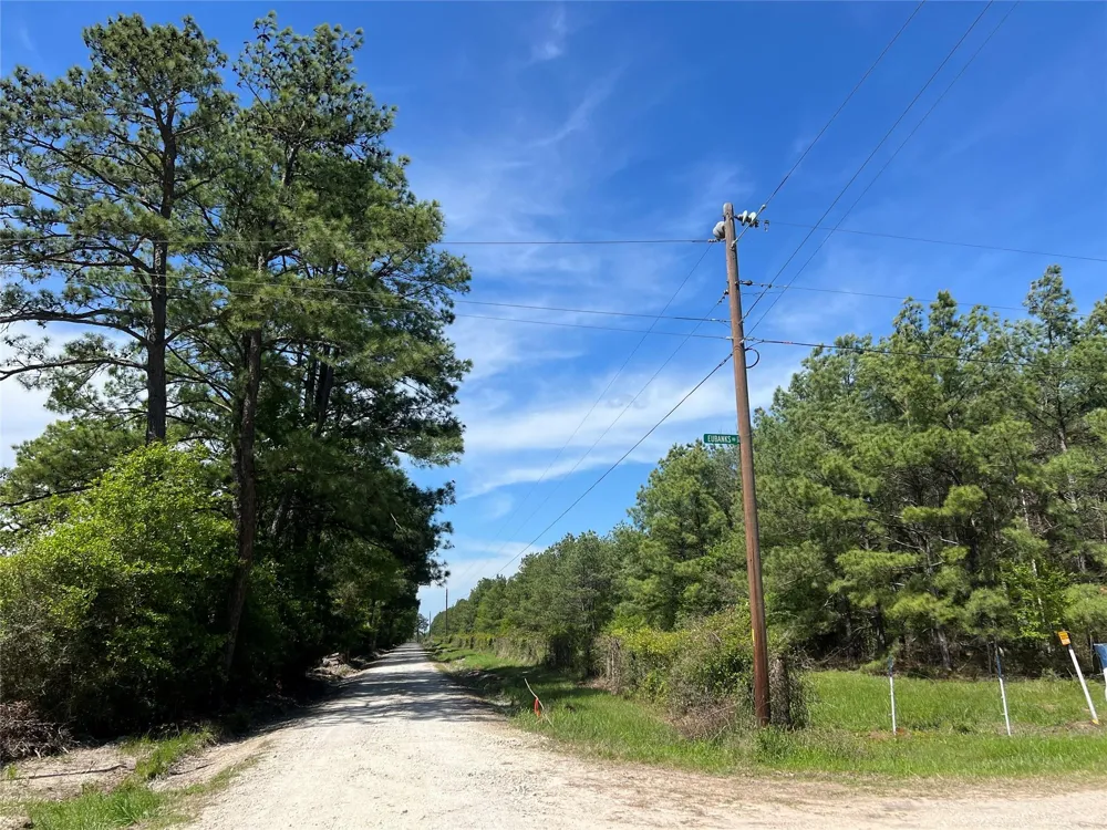 19 English Rd Road Bedias, TX 77831