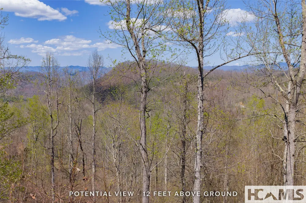 Lot 57 Sims Valley Glenville, NC 28736