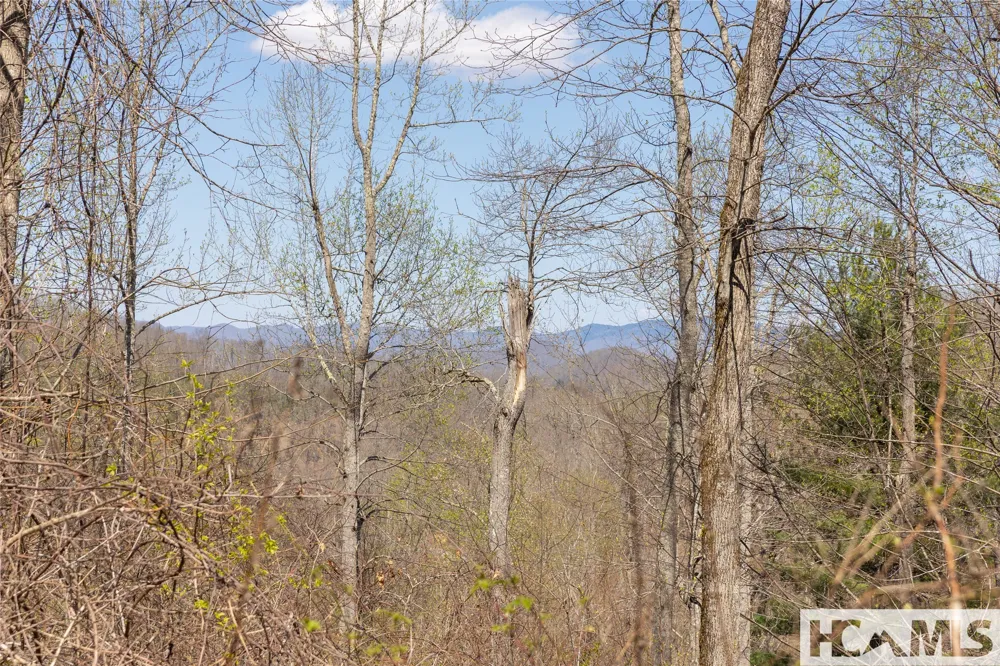 Lot 57 Sims Valley Glenville, NC 28736