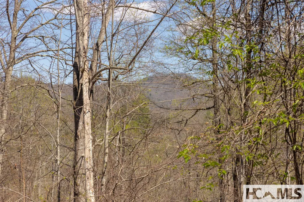 Lot 57 Sims Valley Glenville, NC 28736