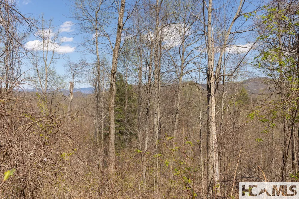 Lot 57 Sims Valley Glenville, NC 28736