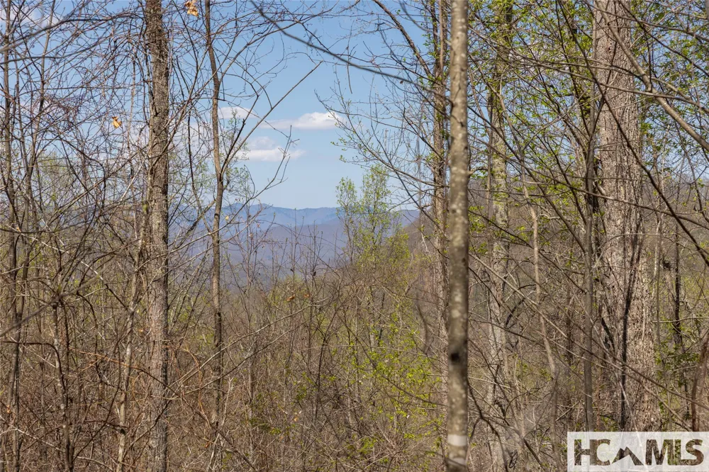 Lot 57 Sims Valley Glenville, NC 28736
