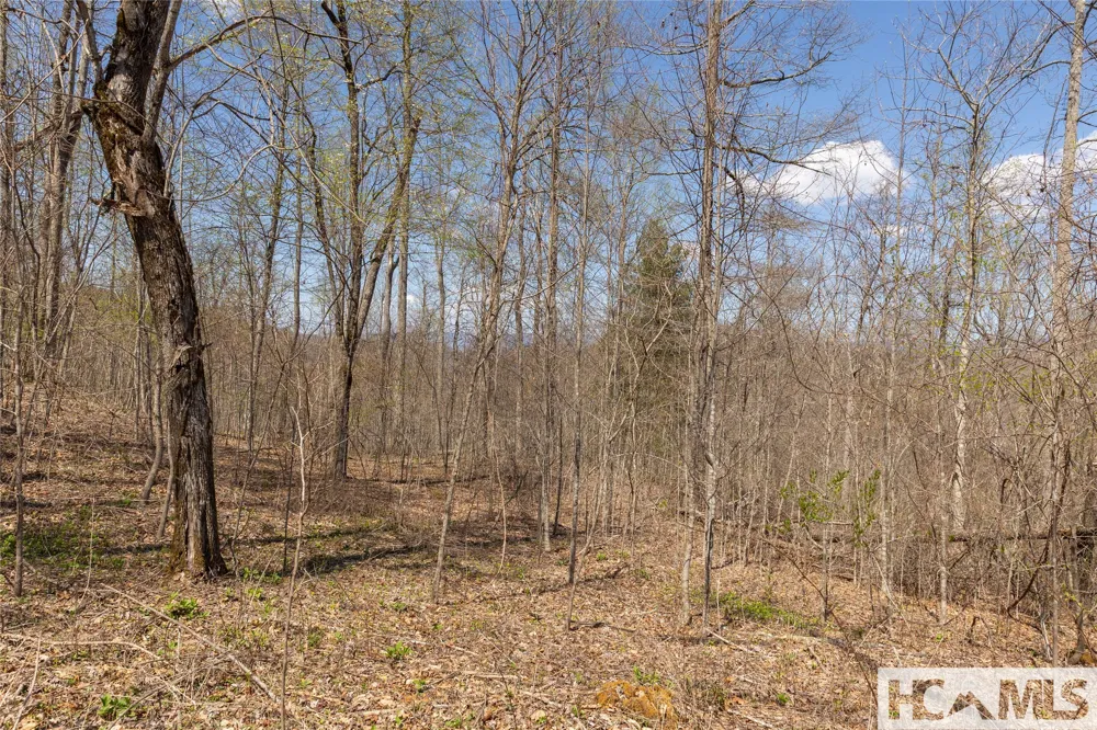 Lot 57 Sims Valley Glenville, NC 28736