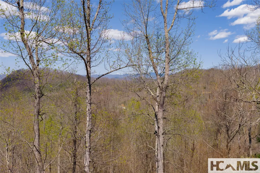 Lot 57 Sims Valley Glenville, NC 28736
