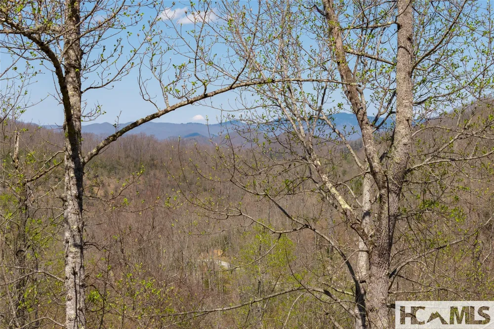 Lot 57 Sims Valley Glenville, NC 28736
