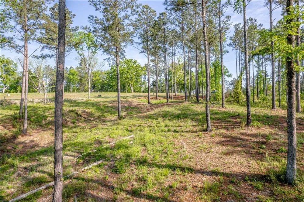 203 Falls Lane Milledgeville, GA 31061