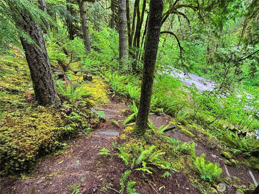 64011 E Cascade Drive Marblemount, WA 98267