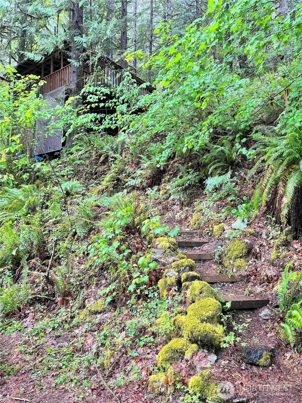 64011 E Cascade Drive Marblemount, WA 98267