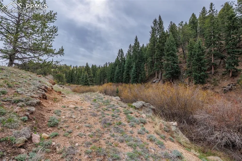 521 University Drive Woodland Park, CO 80863