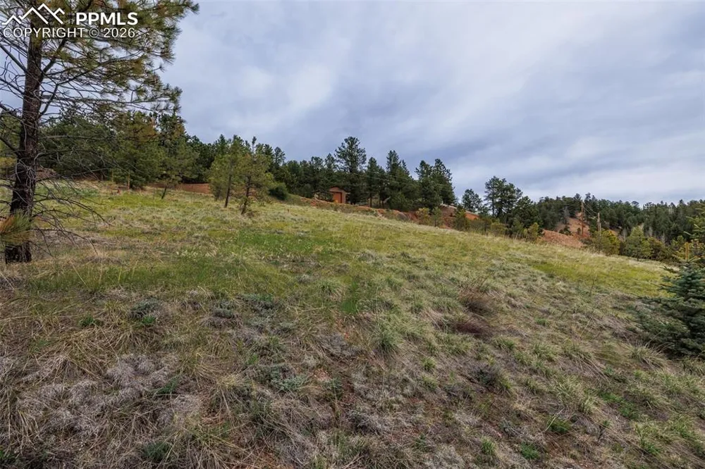 521 University Drive Woodland Park, CO 80863