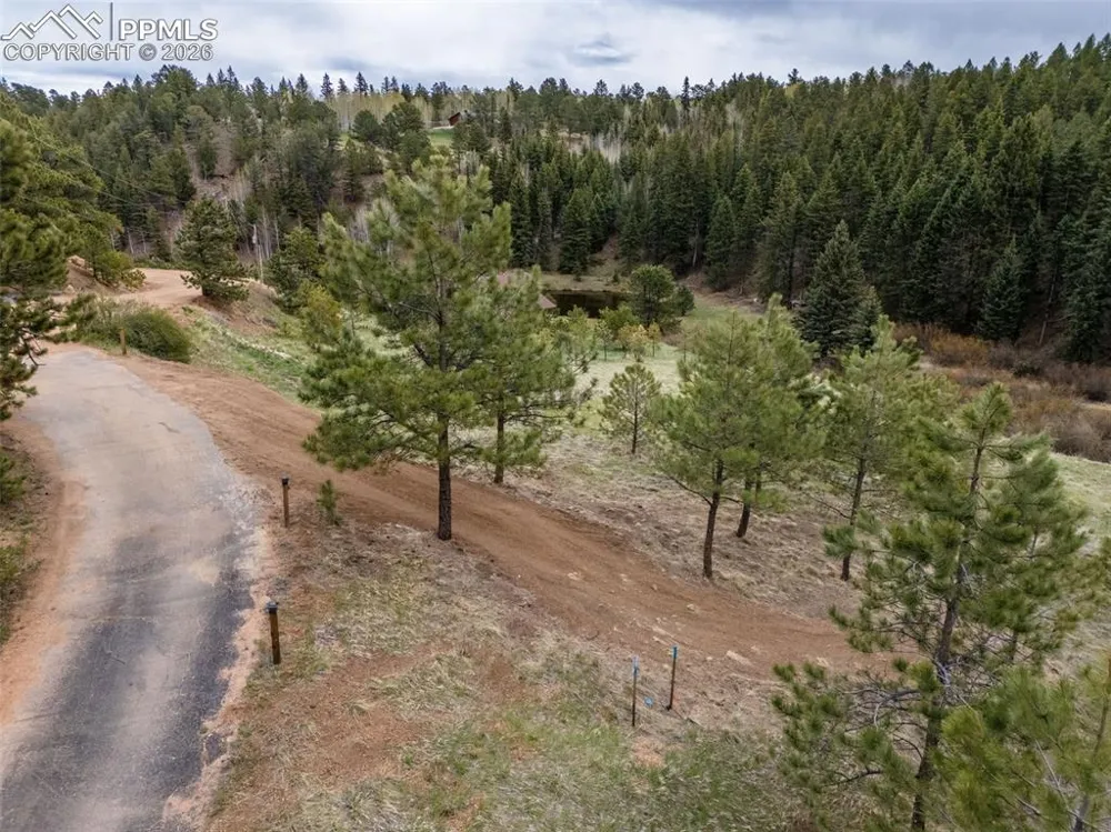521 University Drive Woodland Park, CO 80863