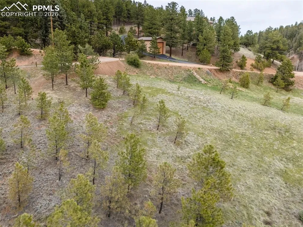 521 University Drive Woodland Park, CO 80863