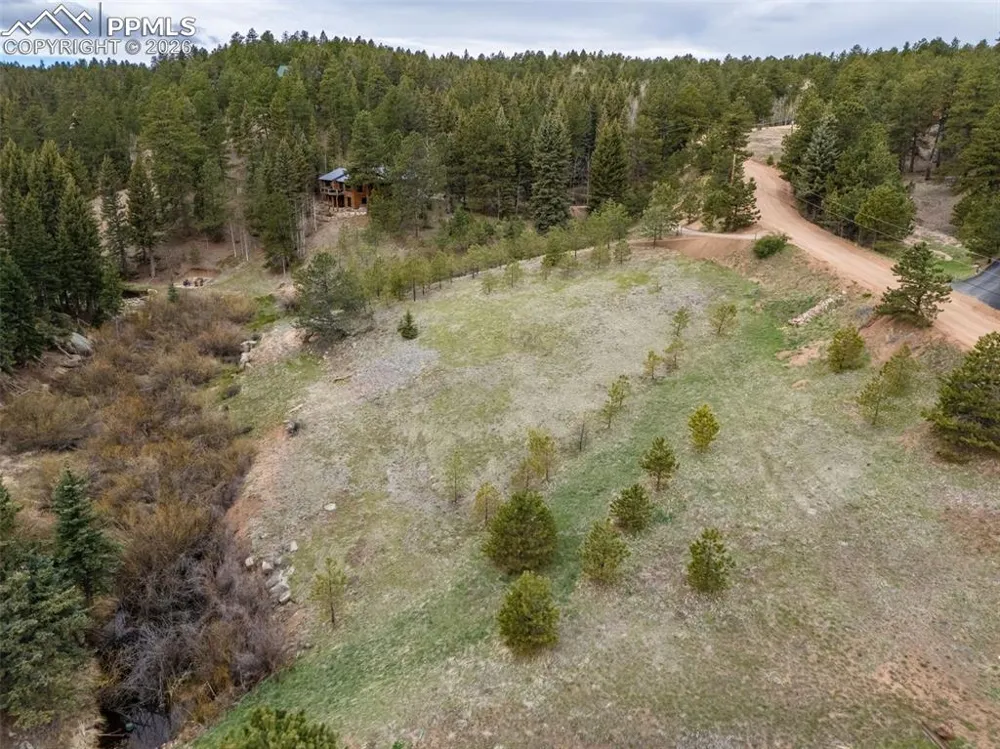 521 University Drive Woodland Park, CO 80863