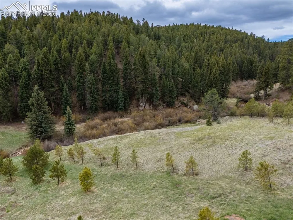 521 University Drive Woodland Park, CO 80863