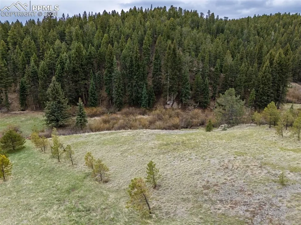 521 University Drive Woodland Park, CO 80863