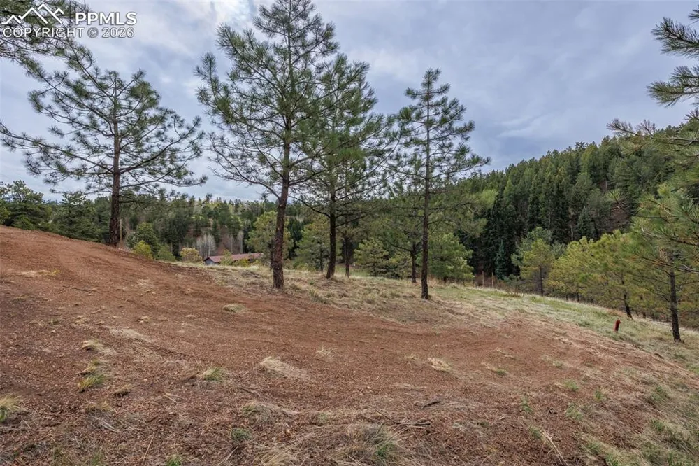 521 University Drive Woodland Park, CO 80863