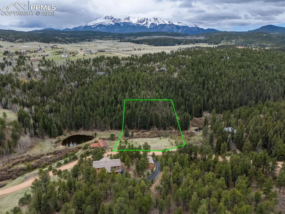 521 University Drive Woodland Park, CO 80863