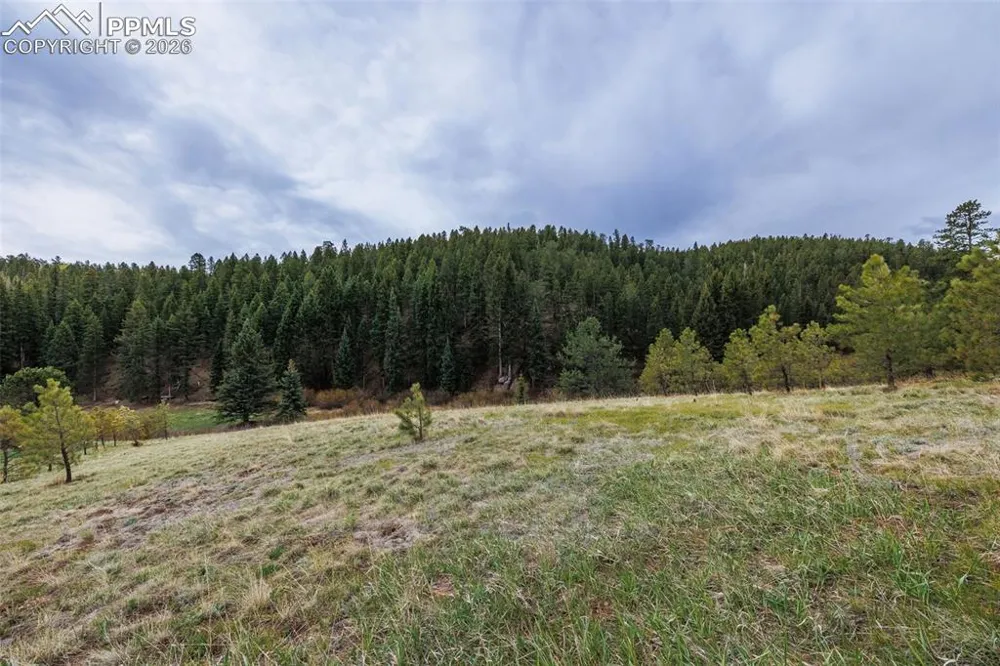 521 University Drive Woodland Park, CO 80863