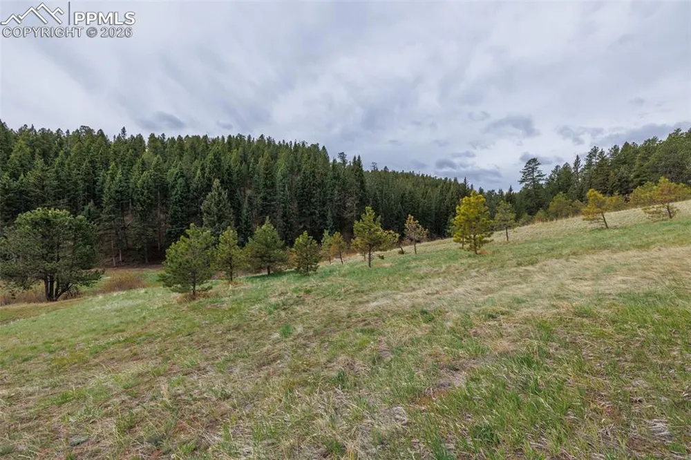 521 University Drive Woodland Park, CO 80863
