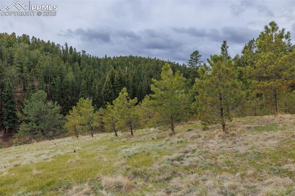 521 University Drive Woodland Park, CO 80863