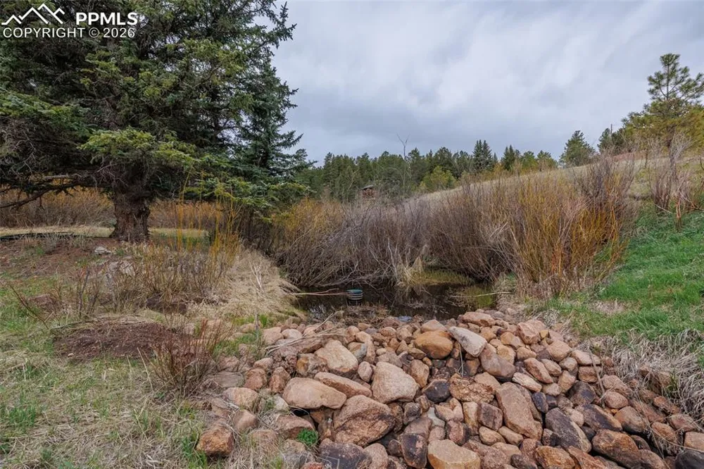 521 University Drive Woodland Park, CO 80863