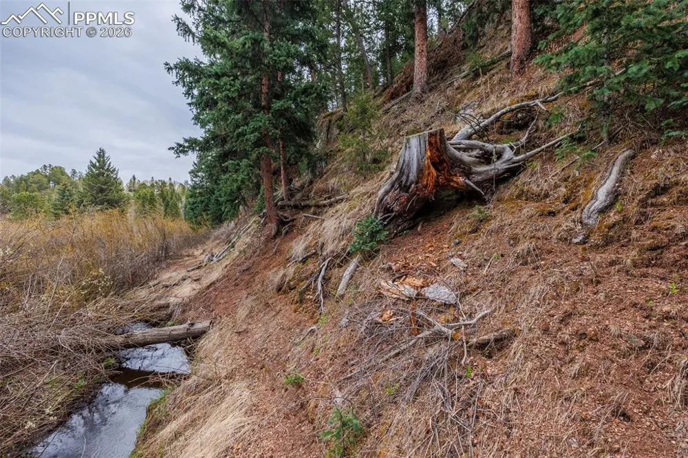 521 University Drive Woodland Park, CO 80863