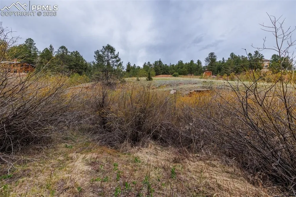 521 University Drive Woodland Park, CO 80863